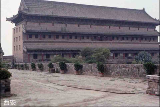 313043.jpg