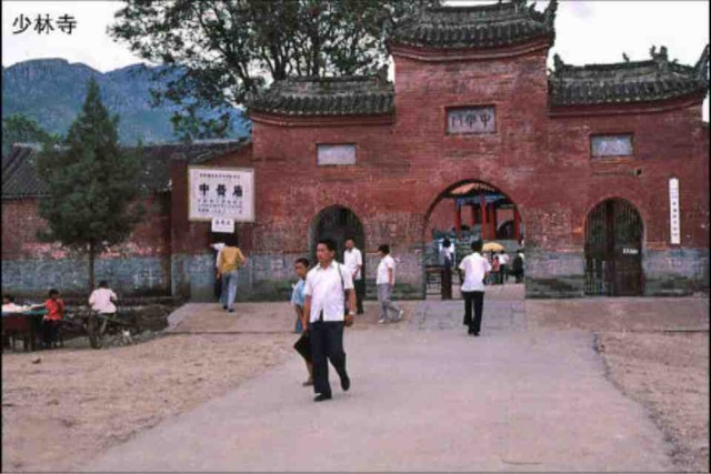 794705.jpg