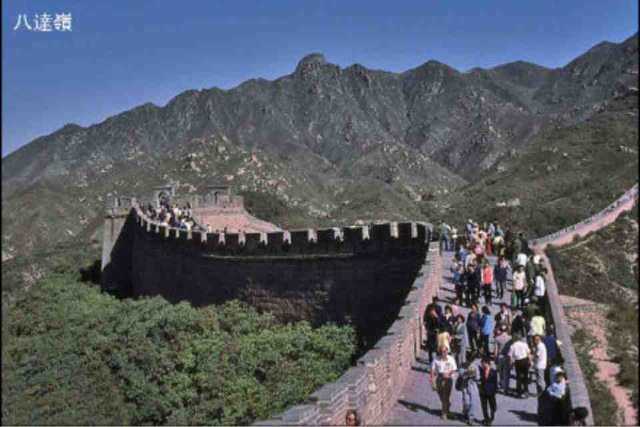 764805.jpg