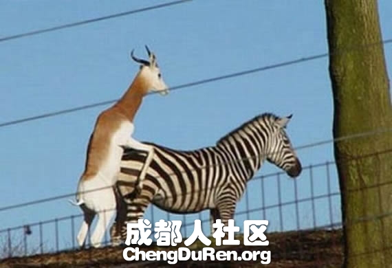 20130604121414988.jpg