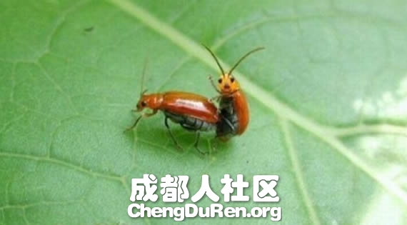 20130604121419167.jpg