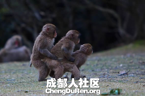 20130604121422141.jpg