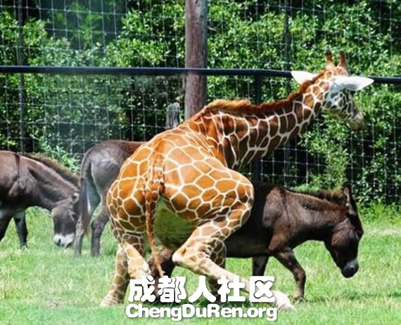 20130604121425515.jpg