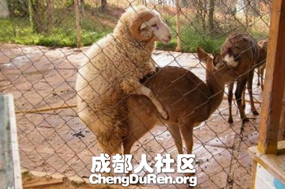 20130604121427512.jpg