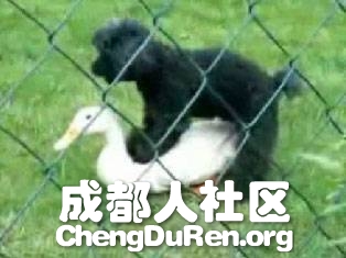 20130604121456658.jpg