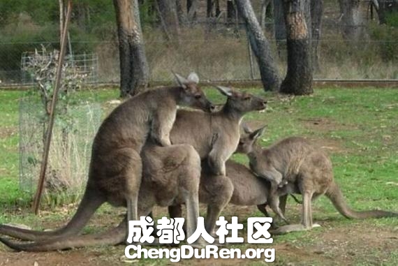 20130604121459509.jpg