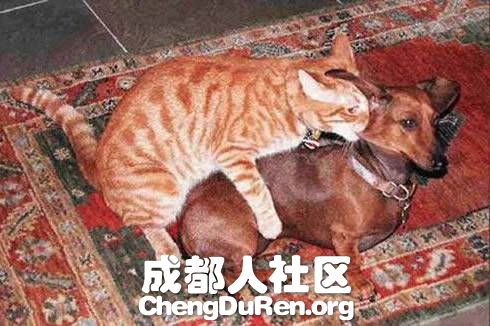 20130604121502713.jpg
