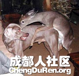 20130604121503414.jpg