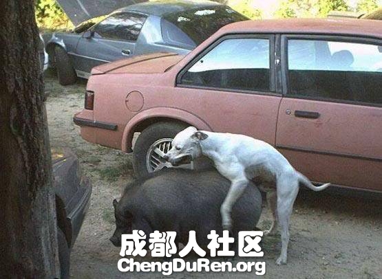 20130604121507246.jpg