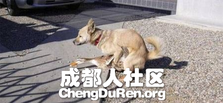 20130604121508252.jpg