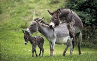 20130604121539897.jpg
