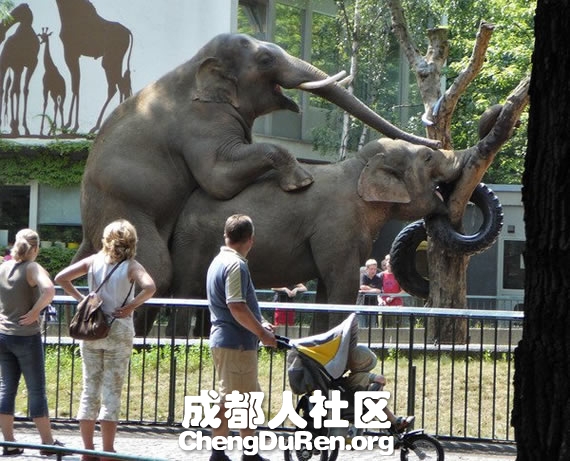 20130604121547483.jpg