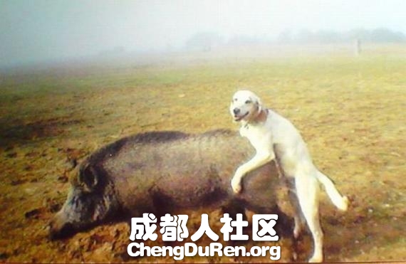 20130604121548950.jpg