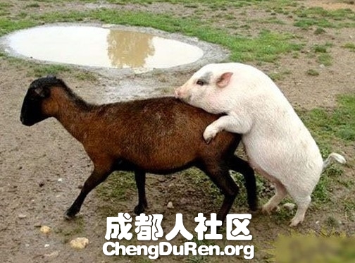 20130624022408653.jpg
