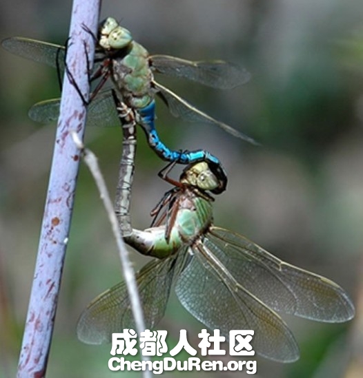 20130624022409672.jpg