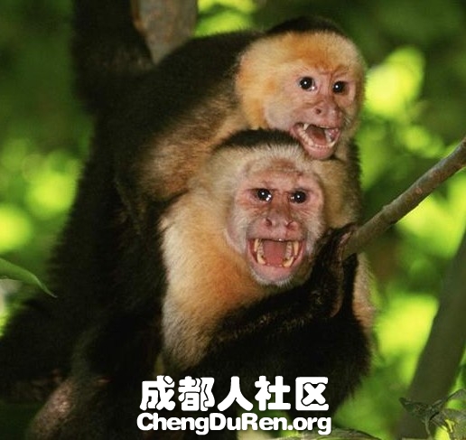 20130624022410392.jpg