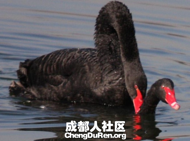 20130624022411393.jpg