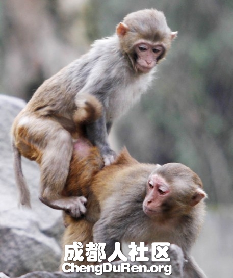 20130624022413443.jpg