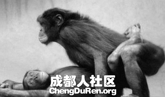 20130624022419750.jpg