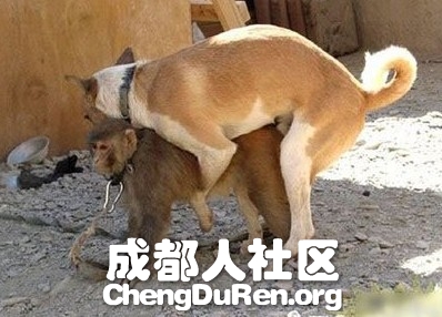 20130624022424275.jpg