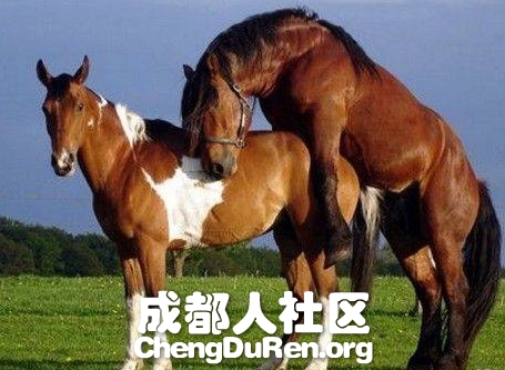 20130624022609215.jpg