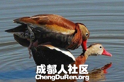 20130624022611158.jpg
