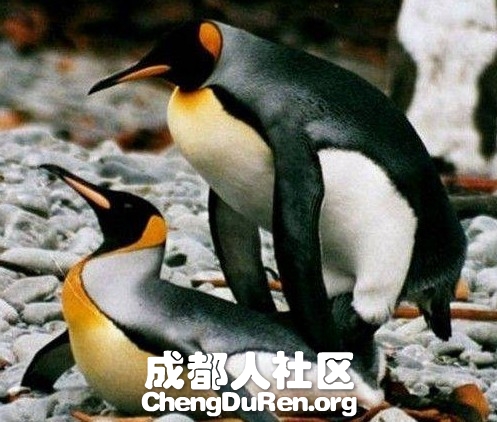 20130624022612998.jpg