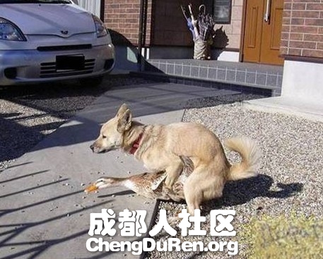 20130624022614864.jpg