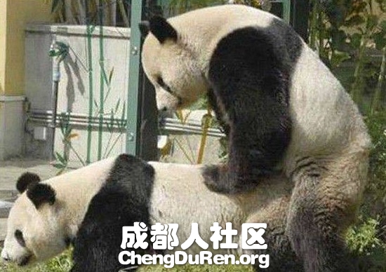 20130624022615588.jpg