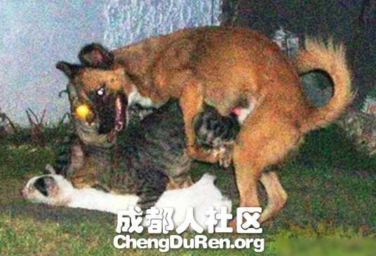 20130624022617994.jpg