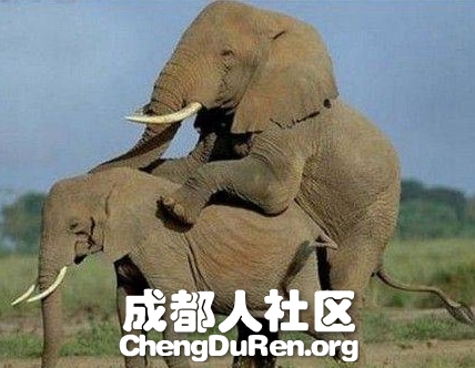 20130624022618244.jpg