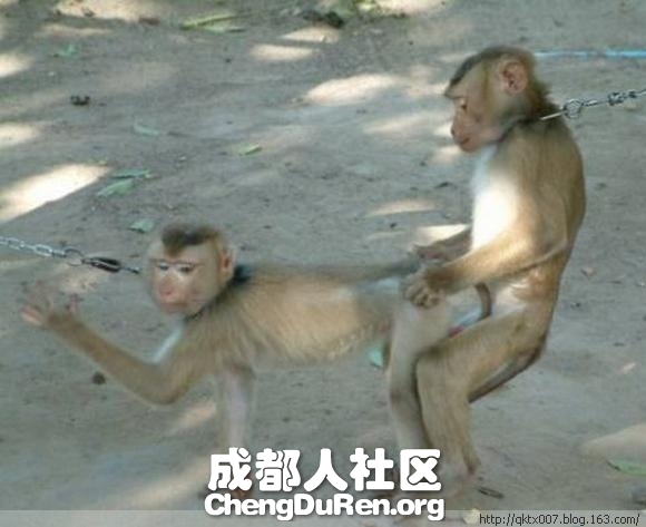20130624022619960.jpg