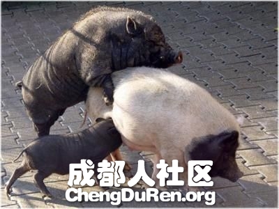 20130624022655519.jpg
