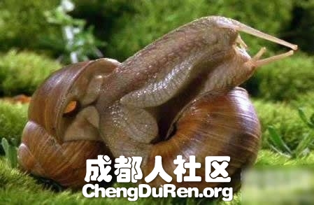 20130624022658362.jpg