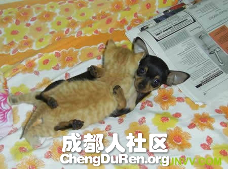 20130624022659184.jpg
