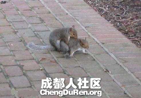 20130624022700872.jpg