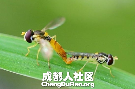 20130624022701580.jpg