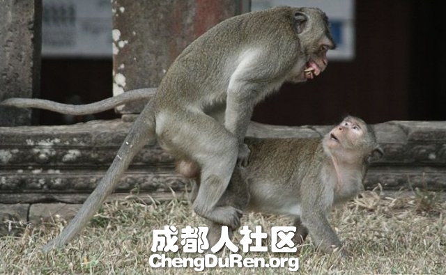 20130624022713115.jpg