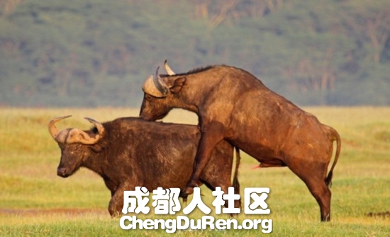 20130624022736370.jpg