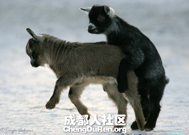 20130624022738872.jpg