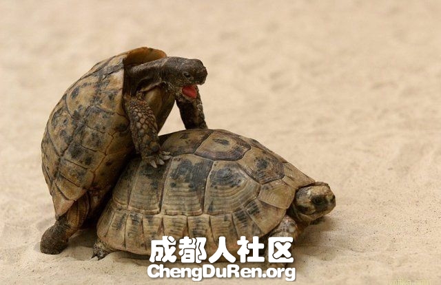 20130624022742224.jpg