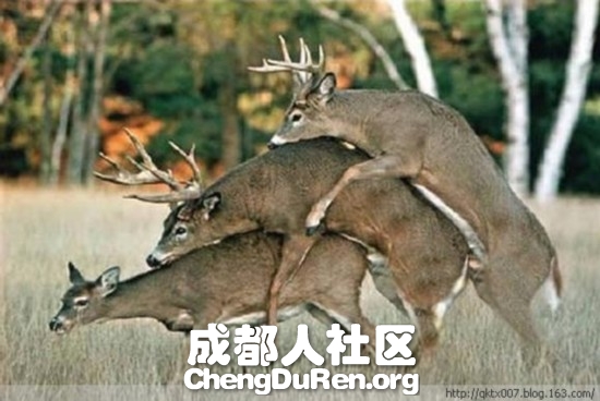 20130624022749152.jpg