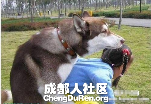 20130624022751644.jpg