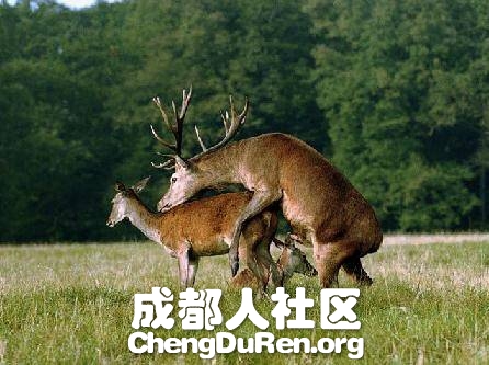 20130624022752181.jpg