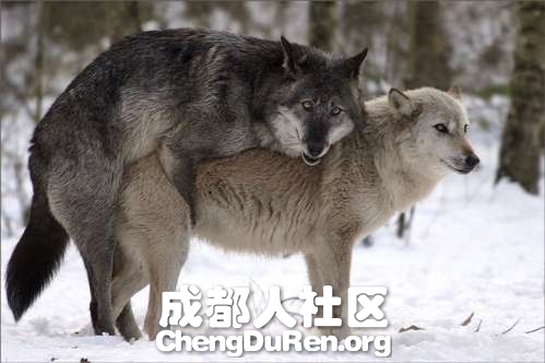 20130624022753827.jpg