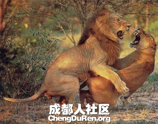 20130624022815985.jpg
