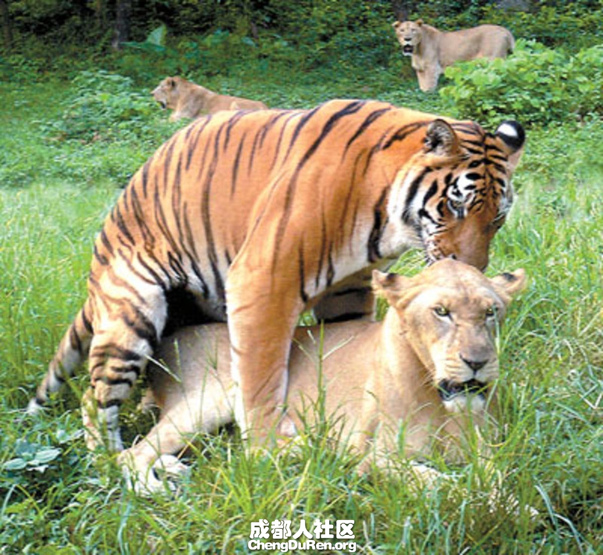 20130624022820972.jpg