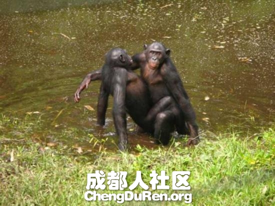 2013062402275089522.jpg