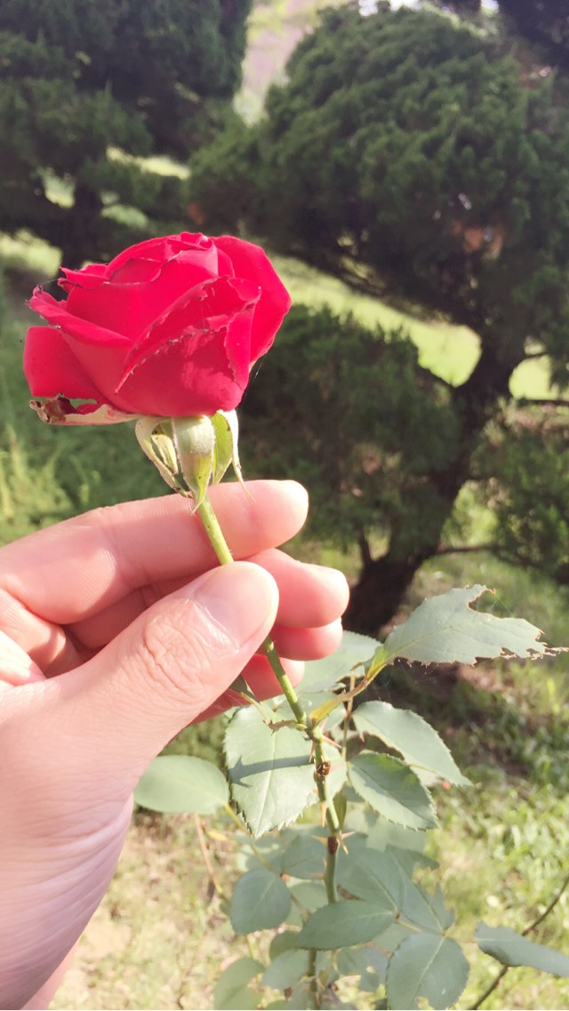 20161107013015_42775.jpg
