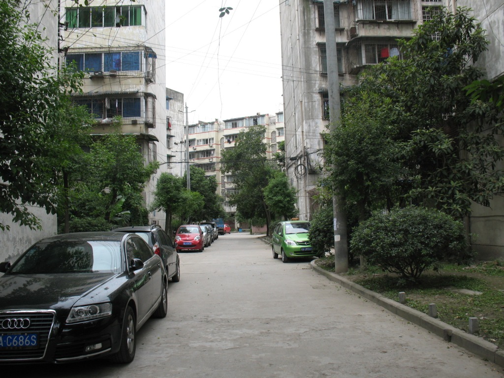 _MG_9908.JPG